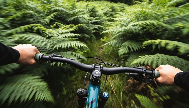 Riding mountain bike through fern-lined forest trail gripping handlebars in motion