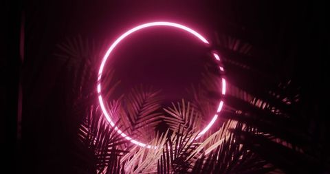Pink Neon Circle Glowing through Fern Foliage