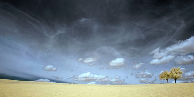Spacious landscape image featuring two distant trees under a dramatic cloudy sky. Ideal for themes such as solitude, tranquility, nature, serenity, and minimalism. Perfect for use in promotional materials, background images for websites or nature-inspired designs, and mindfulness or relaxation contexts.
