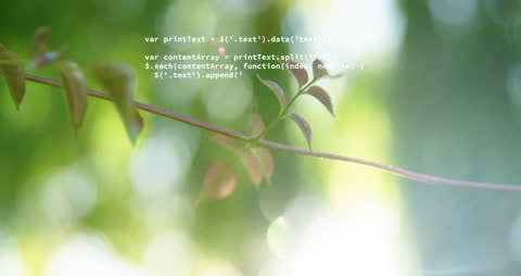 Technology Meeting Nature Concept with Programming Code
