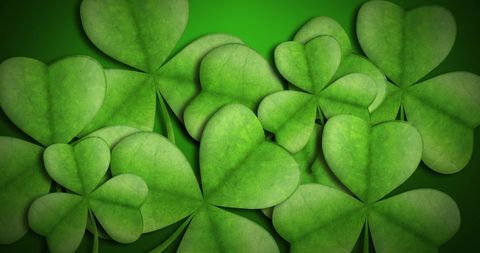 Vibrant Green Clover Leaves Celebrating St. Patrick's Day - Download Free Stock Images Pikwizard.com
