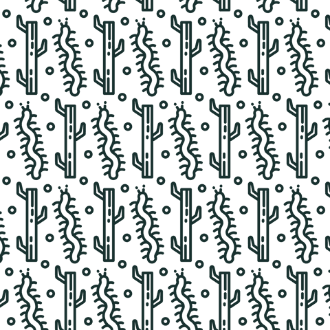 Seamless Transparent Pattern of Cactuses and Millipedes - Download Free Stock Videos Pikwizard.com