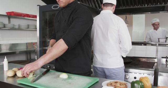 Chefs Chop Vegetables in Commercial Kitchen - Download Free Stock Images Pikwizard.com