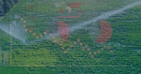 Smart Farming: Precision Sprinkler System Over Crop Field With Data Overlay