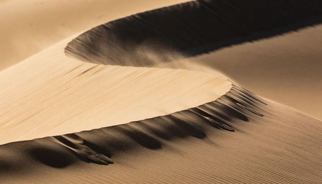Curving sand dune ridge with wind sculpted ripples and dramatic light and shadow