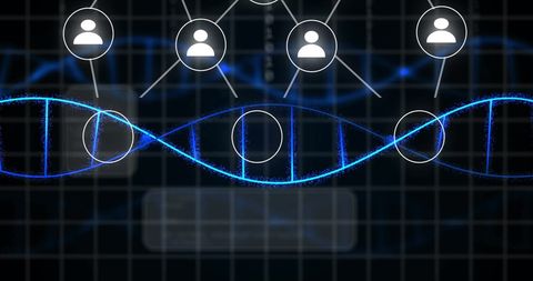 Digital DNA Strand with Social Network Connection - Download Free Stock Images Pikwizard.com