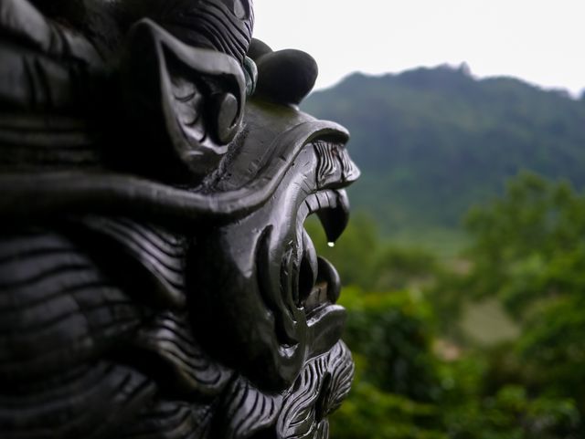 Close-Up of Traditional Dragon Sculpture in Natural Landscape - Download Free Stock Photos Pikwizard.com
