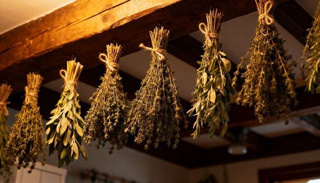 Rustic kitchen herb bundles hanging to dry from wooden beam with twine and warm amber light