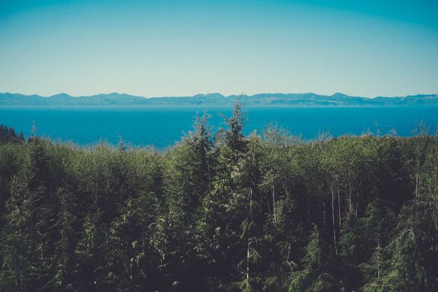 Scenic view showcasing the beauty of nature with a vast ocean meeting the horizon behind a green pine forest. Mountain ranges in the distance under a clear sky. Ideal for nature wallpapers, travel blogs, environmental campaigns, and outdoor adventure promotions.