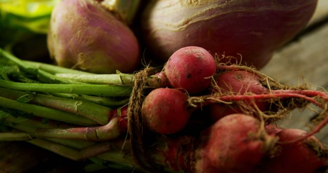 Fresh Organic Radishes and Turnips Close-Up - Download Free Stock Images Pikwizard.com