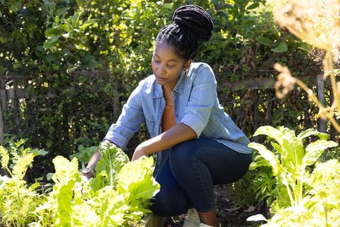 African woman tending leafy vegetable garden in sunlit backyard wearing denim shirt