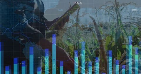 Woman farmer tapping tablet monitoring crop analytics with global data overlay