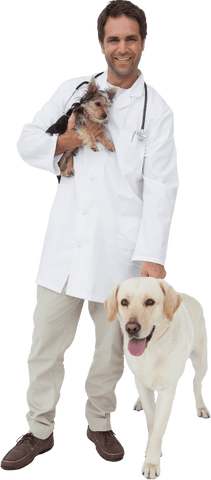 smiling veterinarian holding dog and puppy on transparent background - Download Free Stock Videos Pikwizard.com