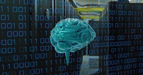 Virtual Brain Displaying Complex Data Over Modern Computing Servers - Download Free Stock Images Pikwizard.com