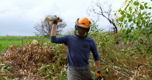 Worker Clearing Brush in Garden with Protective Gear - Download Free Stock Images Pikwizard.com