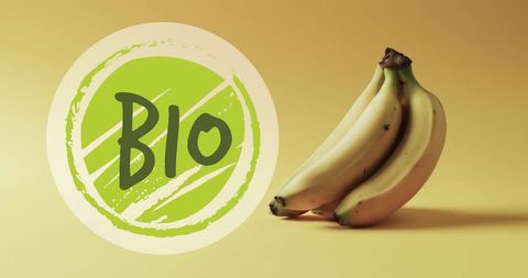 Organic bananas with bio label on yellow background