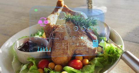 Whole roasted chicken showing futuristic hud overlay on gourmet salad presentation with rosemary