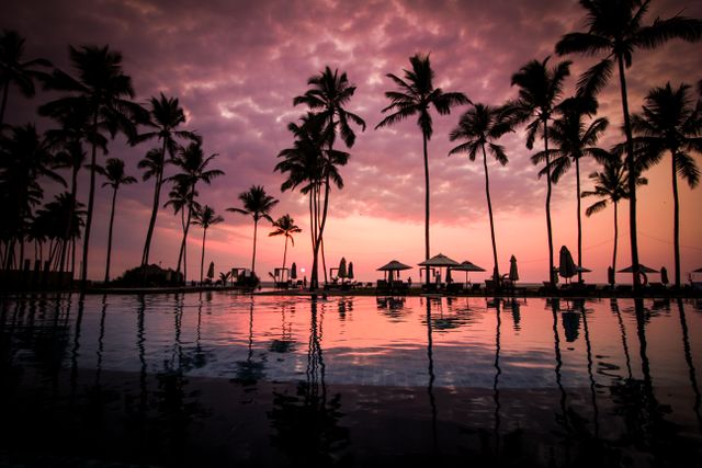 Silhouettes of Palm Trees at Sunset with Reflections in Water - Download Free Stock Photos Pikwizard.com