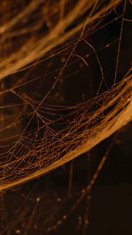 Amber-lit spider web shimmering in attic corner vertical macro video loop with luminous dust motes