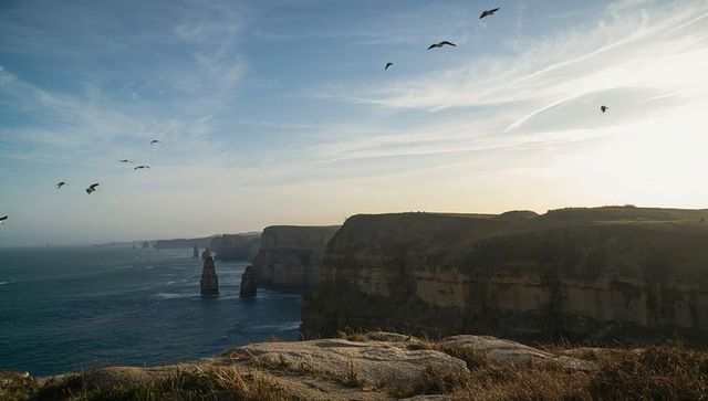 Seabirds soaring over rugged limestone cliffs and sea stacks at golden hour coastline vista