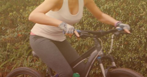 Active Woman Cycling Through Nature in Warm Light - Download Free Stock Images Pikwizard.com