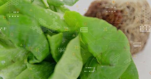 Fresh Spinach and Baked Potato with Futuristic Digital Overlay