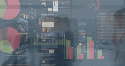 Financial Analytics Visualization with Business Professionals