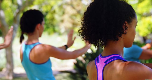 Diverse Women Practicing Outdoor Tai Chi in Park on Sunny Day - Download Free Stock Images Pikwizard.com