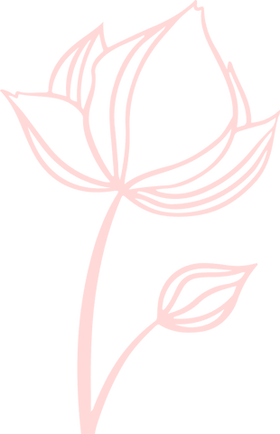 pink minimalist botanical line art floral on transparent background - Download Free Stock Videos Pikwizard.com