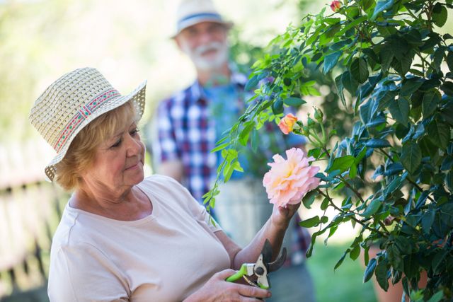 Senior woman wearing hat pruning flowers with pruning shears in a garden. Ideal for use in articles about gardening, healthy lifestyles for seniors, outdoor activities, and retirement hobbies. Can be used in advertisements for gardening tools, retirement communities, or lifestyle blogs.