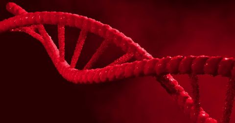 Red Helix DNA Strand on Abstract Background