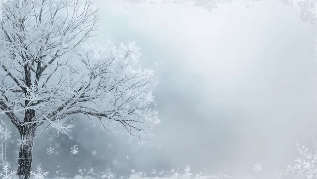 Frosted tree on snowy field showing winter mist with snowflake border and open copy space