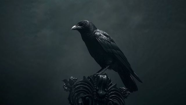Mysterious Black Crow Perching in Monochrome Style