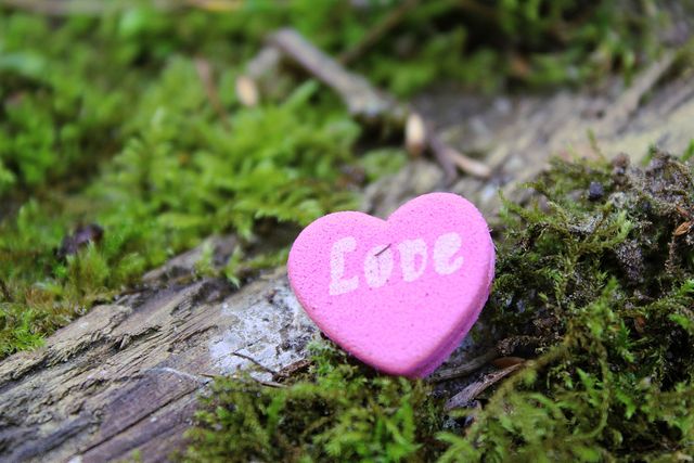 Love text over heart shaped pink placard on  the grass. love and valentines day concept