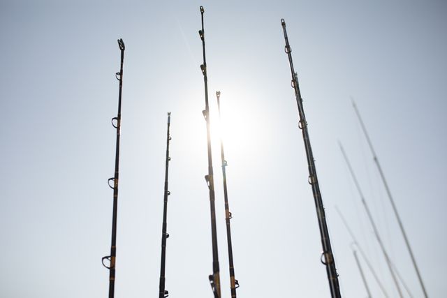 Multiple fishing rods standing up, ready to be used, on a sunny day, with blue sky and sunshine in the background. Holiday fishing boat trip leisure.