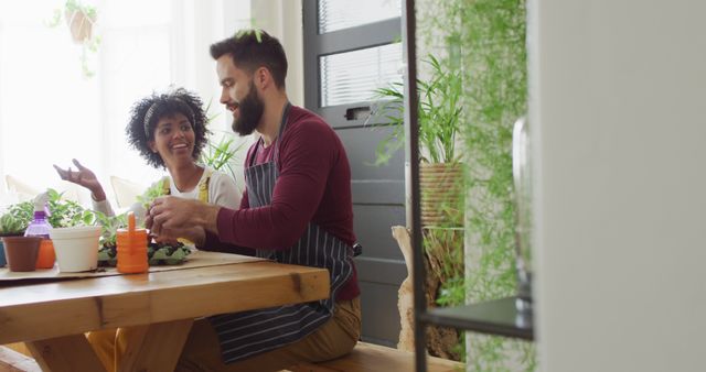 Mixed Ethnicity Couple Preparing Meal in Modern Kitchen with Indoor Plants - Download Free Stock Images Pikwizard.com