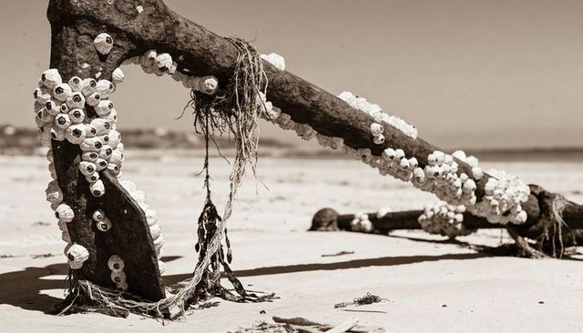 Sepia driftwood beam with barnacles and frayed rope on tidal beach, weathered seascape