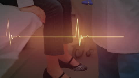 Digital Cardiogram Animation with Doctor and Patient Interaction