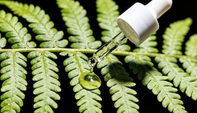 Dropper releasing green botanical serum onto fern frond macro beauty natural skincare