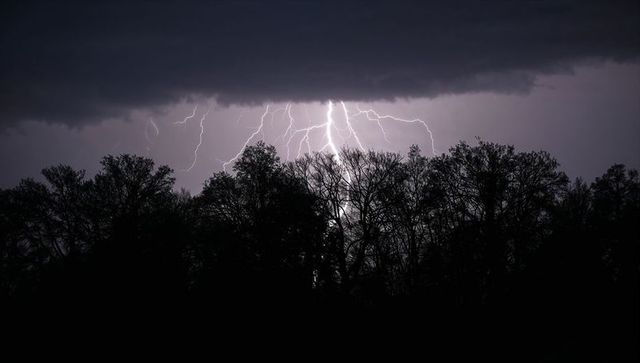 Dramatic Lightning Strikes over Silhouetted Forest at Night
