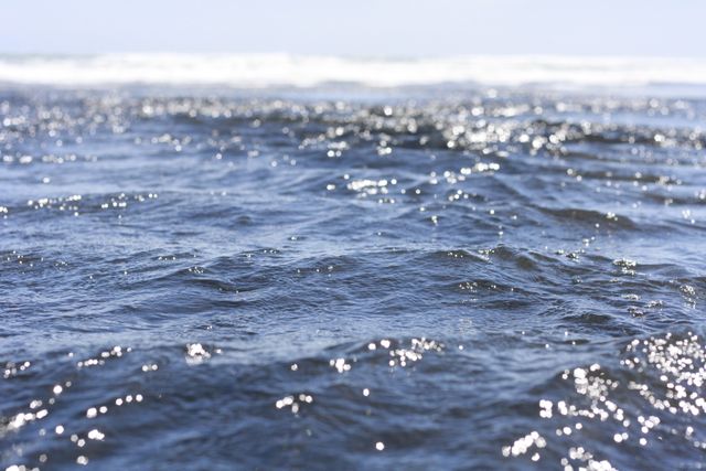 Closeup of Glittering Ocean Waves on a Sunny Day - Download Free Stock Photos Pikwizard.com