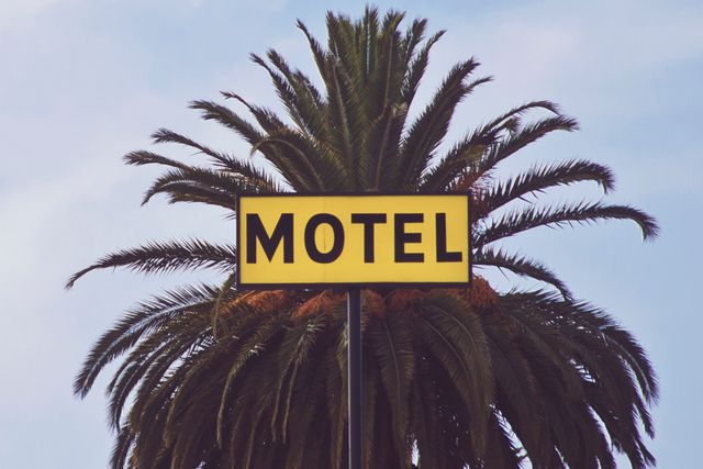 Retro Motel Sign With Palm Tree Background - Download Free Stock Photos Pikwizard.com