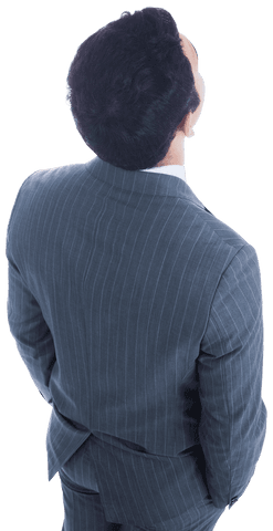 Back of Professional Biracial Businessman on Transparent Background in Suit