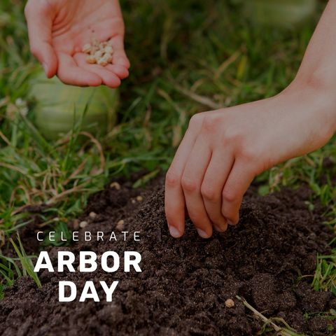 Celebrating arbor day with planting hands in soil