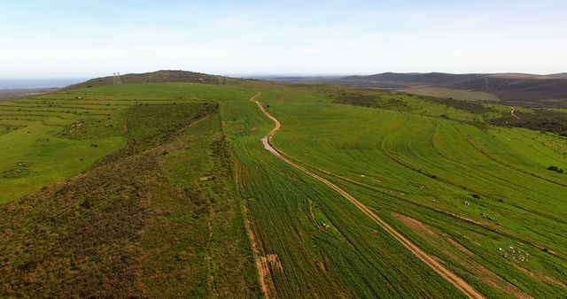 An Aerial View of Evergreen Countryside with a Winding Dirt Road - Download Free Stock Images Pikwizard.com