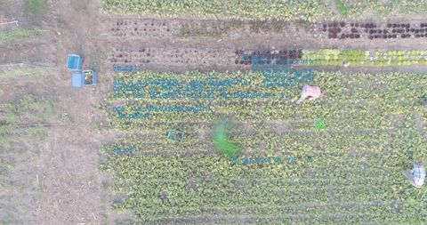 Aerial view of fields with digital data overlay illustration