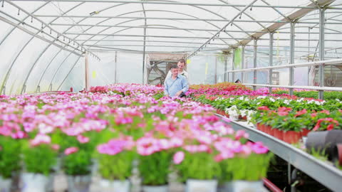 Customer and Employee Exploring Vibrant Greenhouse