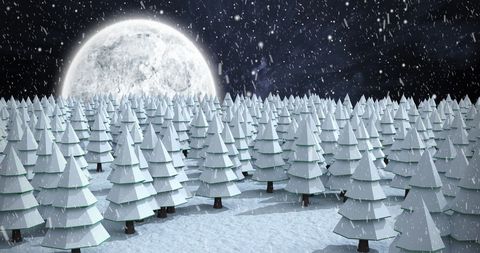 Snowfall Over Winter Forest with Moonlit Night Sky