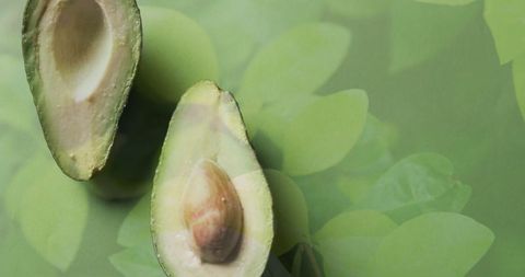 Fresh halved avocados with leaf overlay on green background