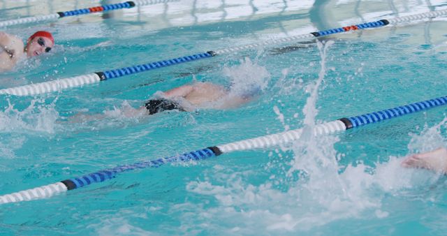 Competitive Swim Meet with Racers in Action in Lane - Download Free Stock Images Pikwizard.com